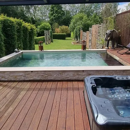 Etang Des Tamaris * Namur