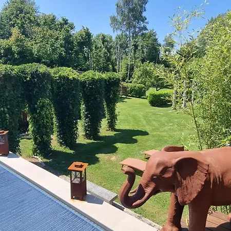 Etang Des Tamaris * Namur